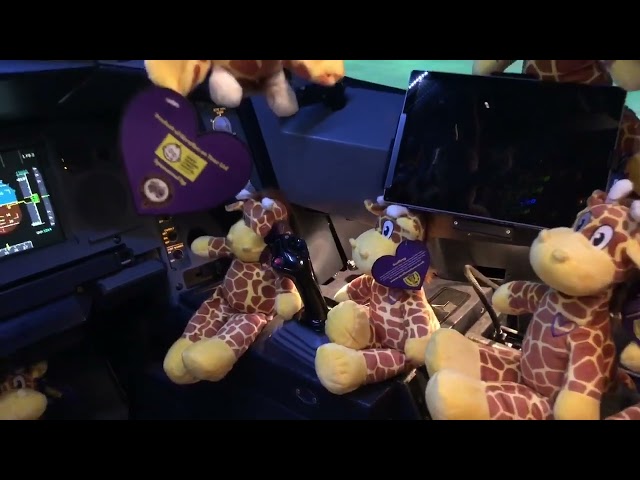 Geoffrey & Friends get checked out on the simulator before the mission