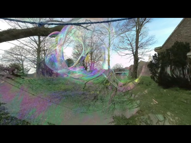 Dr Zigs Giant Bubbles and Spring flowers. An immersive bubble therapy