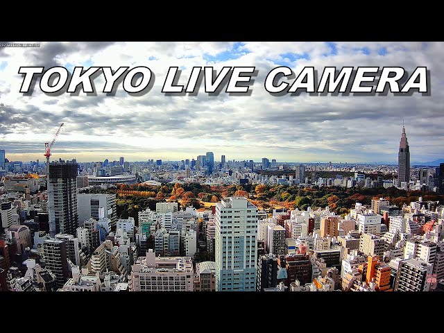 4k 東京ライブカメラ  Tokyo live camera  ドコモタワー・国立競技場・新宿御苑紅葉・画面右新宿駅付近・中央左渋谷。都心通過の羽田空港への着陸機 南風15時以降 ＠国立競技場＃紅葉