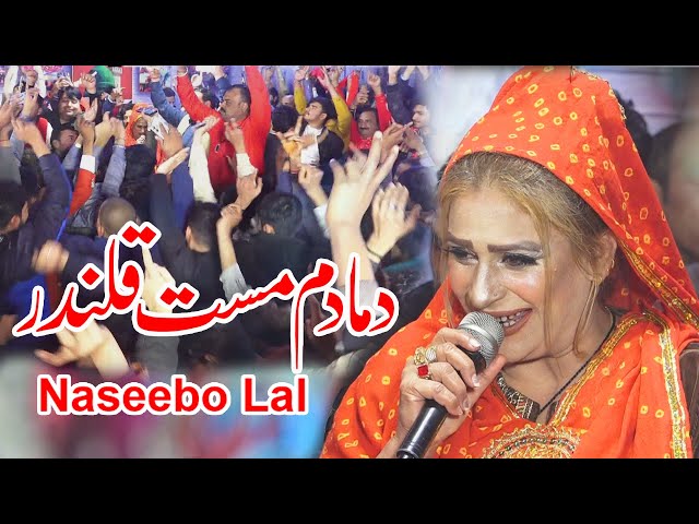 Duma Dum Must Qalandar |Duma Dum Must Qalandar  - Naseebo Lal - 2024 -