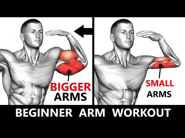 BEGINNER ARM WORKOUT  MUSCLE BUILDING WORKOUT