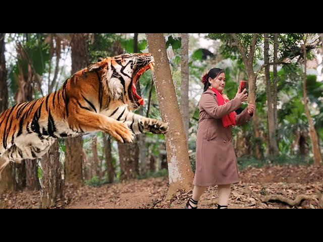 Woman was suddenly attacked by a tiger in the forest