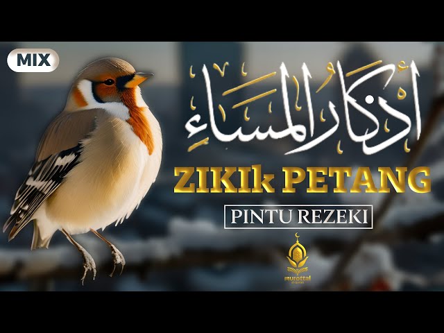 DZIKIR PETANG SESUAI SUNNAH RASUL | ZIKIR PEMBUKA PINTU REZEKI | Dzikir ke Tidur nyenyak