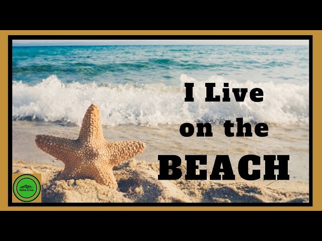 I Live On The Beach | Living In My Truck Camper