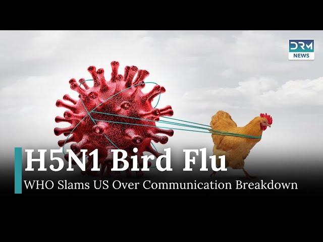 H5N1 Bird Flu: WHO Slams US Over Communication Breakdown! | DRM News | AR1I