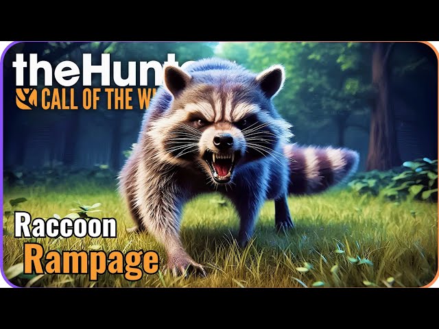 Common Raccoon Rampage Hunt in Salzwiesen Park!