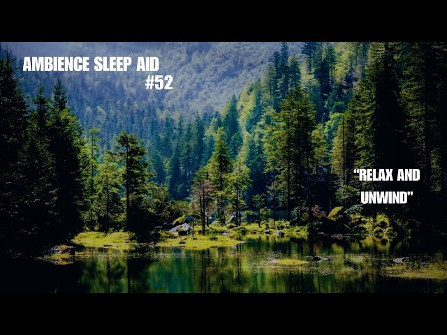 Relaxing Nature Sounds | Birds, Stream & Gentle Wind for Sleep & Focus #naturetherapy #naturesounds