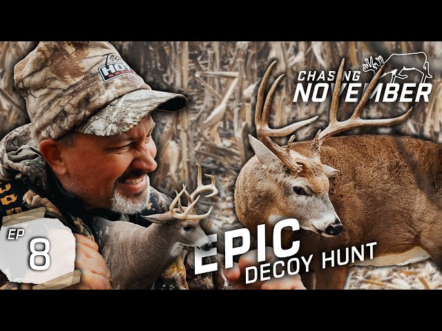 INSANE Bow Hunting With A Decoy, The Buck Parade Continues #Hunting #bowhunting