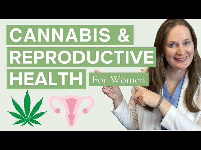 What You Need to Know about Marijuana and Women's Reproductive Health - Dr Lora Shahine