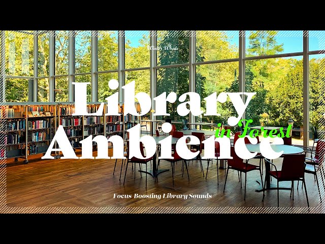 Library in the Forest - Library Ambience, Background Noise for Study, Focus | 도서관 ASMR