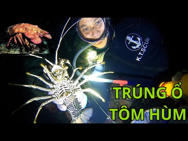 Win High Value Lobster Nests When Snorkeling on Truong Sa Islands