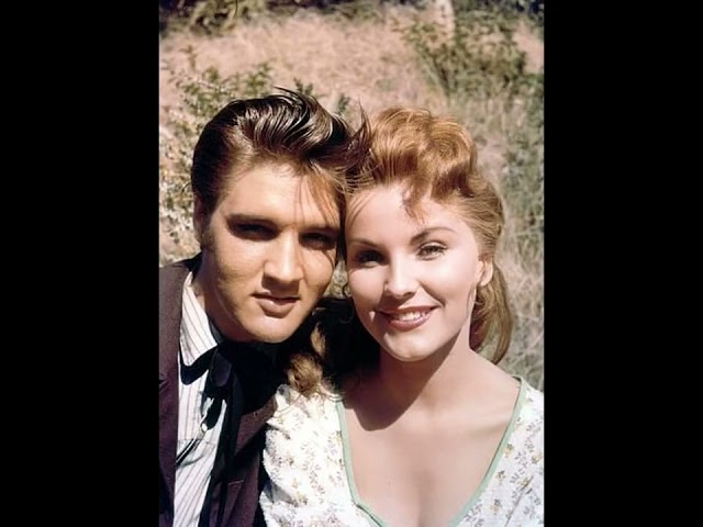 Elvis Presley On The Set: Love Me Tender! #shortvideo #shortsvideo #shorts #short #elvispresley