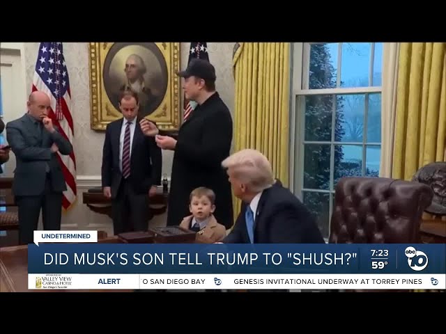 Fact or Fiction: Did Elon Musk's son tell President Trump to 'shush?'