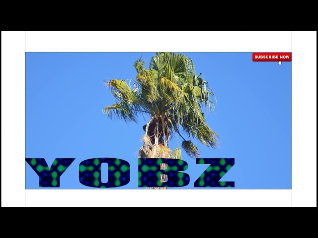 YOBZ - BHO ZVEDU