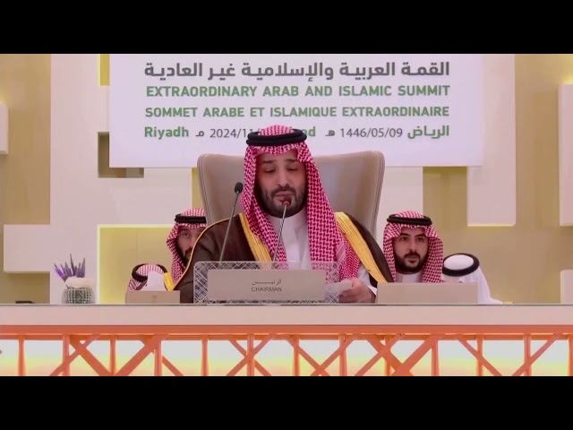 Saudi Arabia spearheads Arab alternative to Trump's Gaza plan | REUTERS