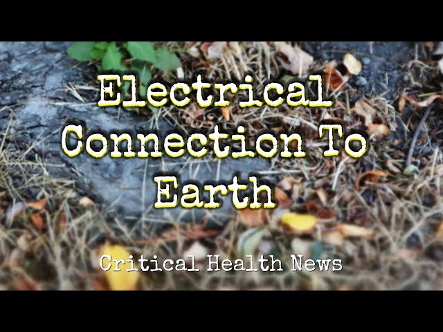 Earthing - Pharmacist Ben Fuchs - Moment of Truth