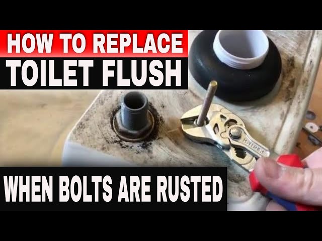 How to Replace a Toilet Flush Mechanism with Seized Bolts