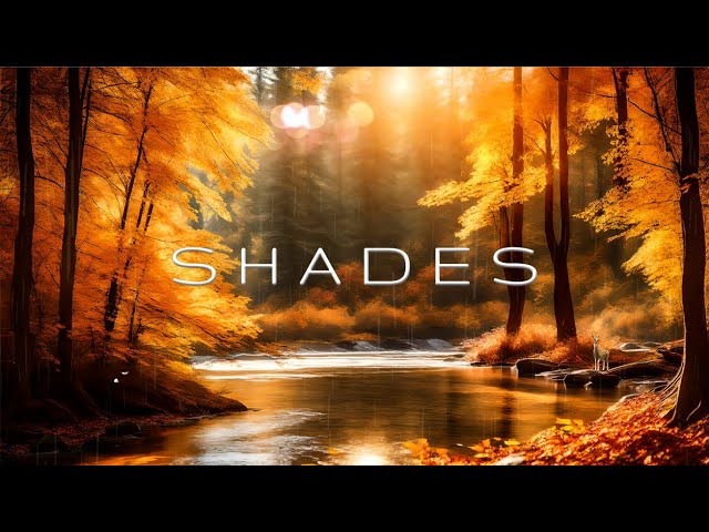 SHADES - Deep Healing Relaxing Music - Meditation Ambient Music