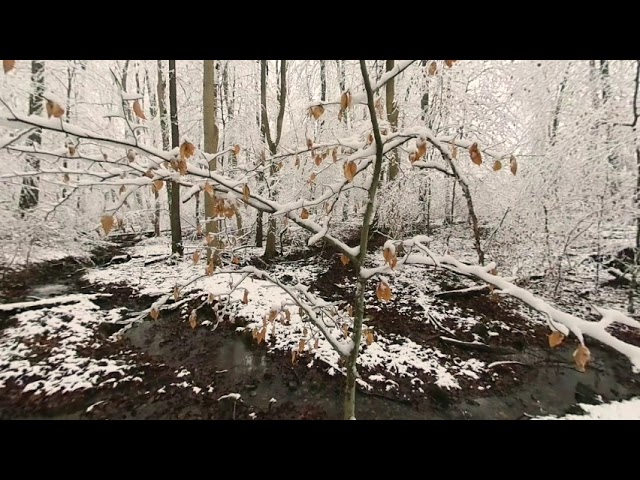 3D VR180 #Wintermeditation with healing music and nature sound 30 minutes