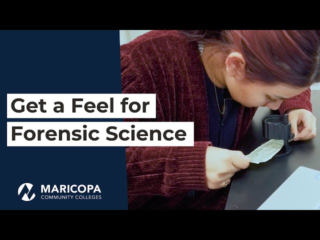 So You Want to be a Forensic Scientist