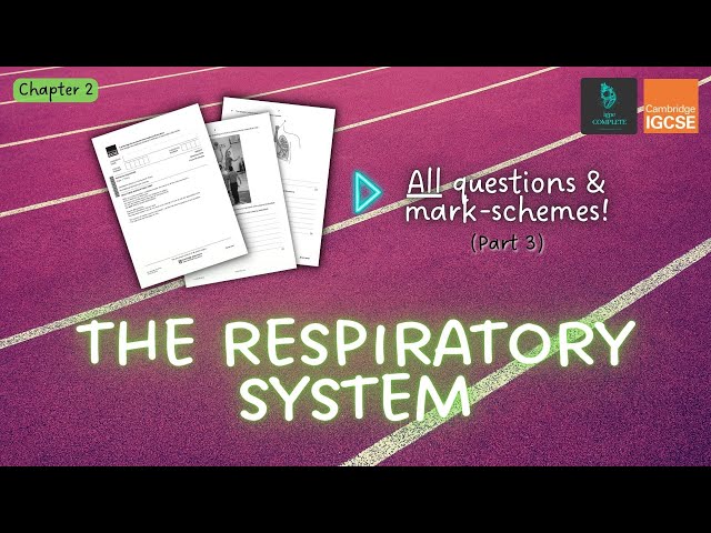 QUESTIONS, A* ANSWERS & MARK SCHEMES - Respiratory System (Ch 2) - IGCSE PE exam revision