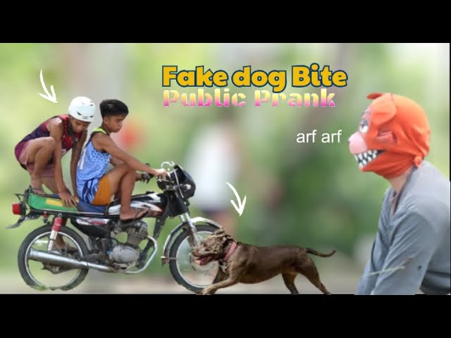 FAKE DOG BITE "PUBLIC PRANK" | Akala nila nakagat talaga sila 😂