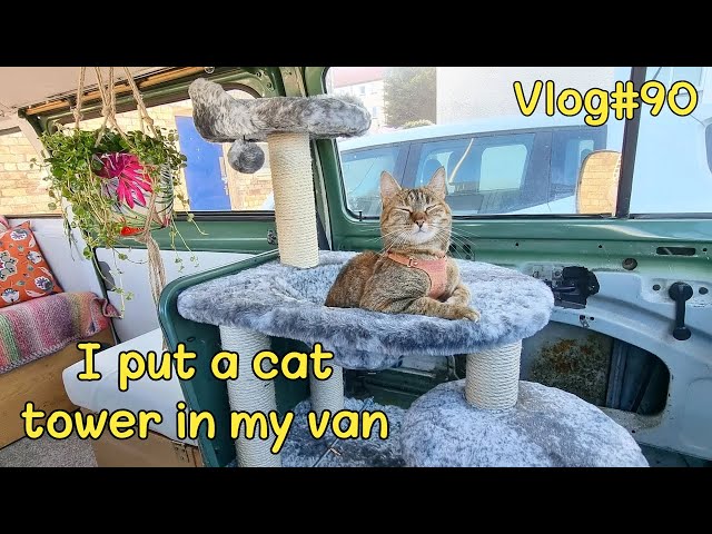 I put a CAT TOWER in my VAN 🚐😻 VLOG#90