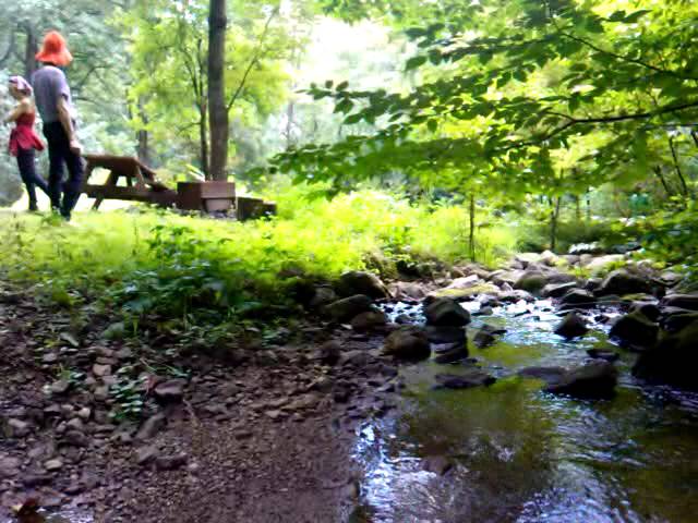 Babbling Brook, Pocosan Mountain, VA, 2012/08/12, 12:08