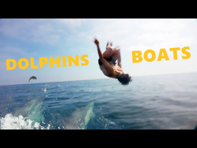 Swimming with Dolphins | Sony A7C