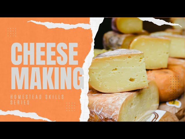 Unboxing mozzarella & ricotta cheese making kit