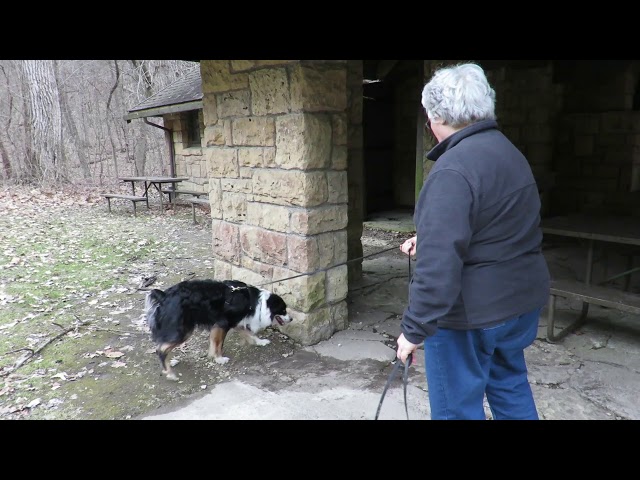 2019 03 29   Palisades SP stone shelter 4 known hides