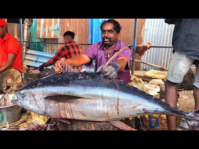 HEAVY 🦈 TUNA 🐋 FISH CUTTING VIDEO 🔥 FISH CUTTING SKILL #nocopyright #creativecommons