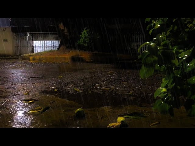 Rain Sounds for Sleeping - 99% Fall Asleep Fast with Relaxing Rain and Thunder