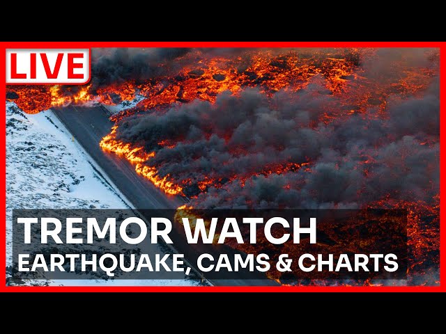 🔴 Live Now: Tremor Watch - Live Earthquake Cams & Seismic Activity Alerts