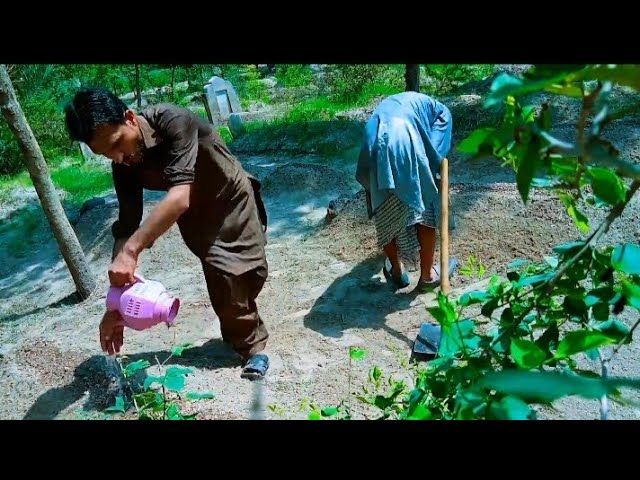 Aj Ham Qabristan RORڑ PANI Krne Gy || Today we was go to Graveyard and we saw ghost || Ghost Vlog