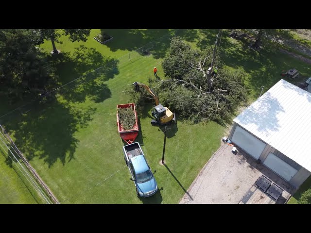 Homeowner Calls Me Since He PANICKED After Hurricane Almost Dropped This HUGE Tree onto His Garage.