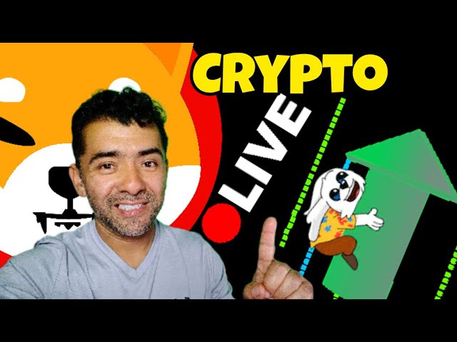 Crypto VIDEO en VIVO #LIVE Coins PRICE Y MAS #cryptocurrency #pepe #brisetoken