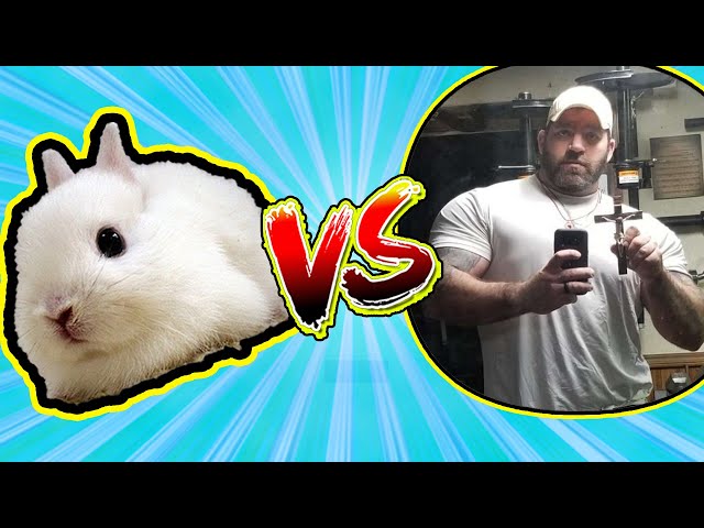 I debate the newest PRESUP on the block (Tom Rabbittt vs Zach)