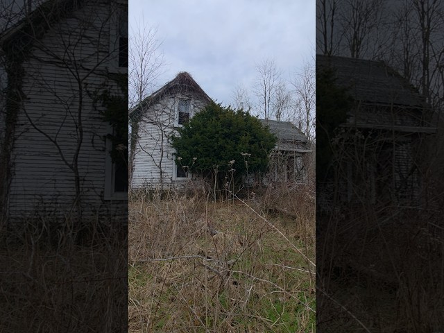 Abandoned Farmhouse in Kentucky #explore #adventure #spooky #creepy #shorts