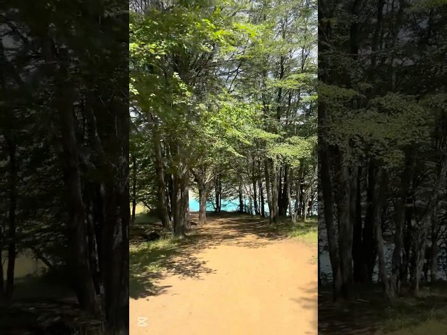 Confluencia Río Baker - Río Neff 📍 Carretera Austral 🚐 Sur de Chile 🇨🇱