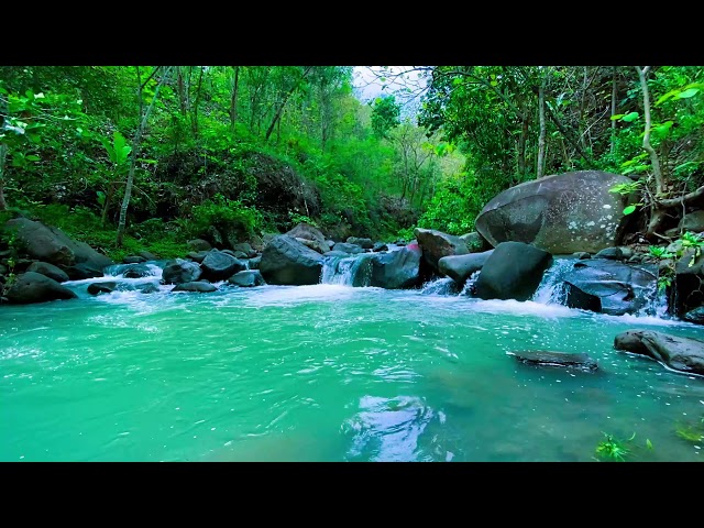 Fall Asleep Fast With Calming River Stream Sounds With Picturesque Views Of Water Flowing.