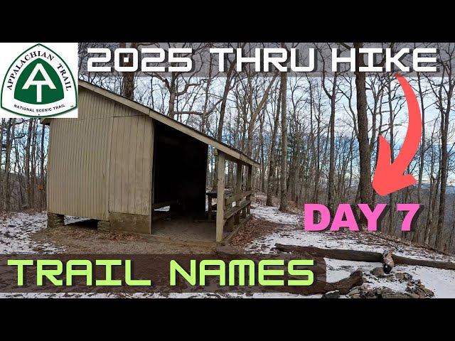 2025 Appalachian Trail Thru Hike Unicoi Gap To Hogpen Gap Day 7 #appalachiantrail #backpacking