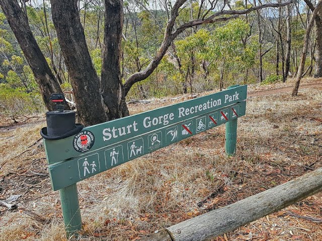 Sturt Gorge River Track West Part 1