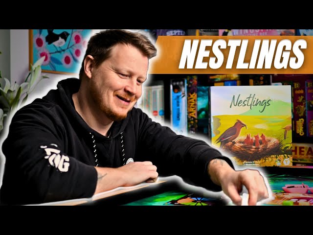 Solo Playthrough & Review - Nestlings The 2024 Wingspan?