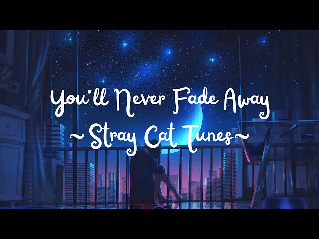 You'll Never Fade Away - Stray Cat Tunes | Original Song