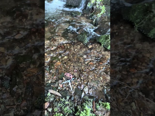 Meditativ video ahead! #nature #blackforest #morningforest #waterfall #watersounds #meditation