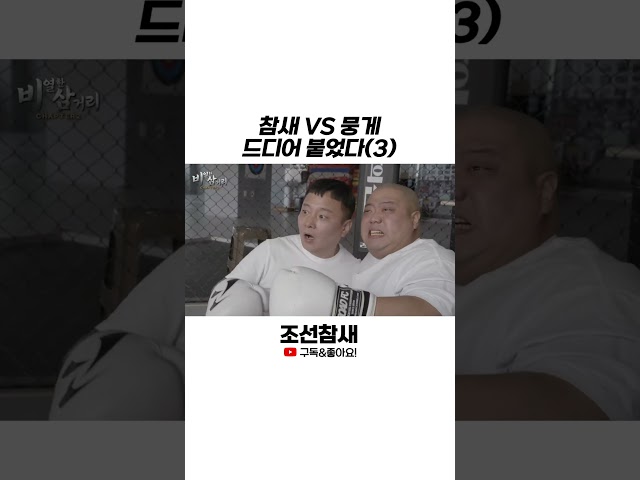 [조선참새] 참새 VS 뭉게 드디어 붙었다(3) #lh플릭스 #비열한삼거리2