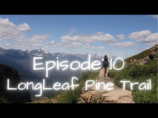 Hiking Long Leaf Pine Trail