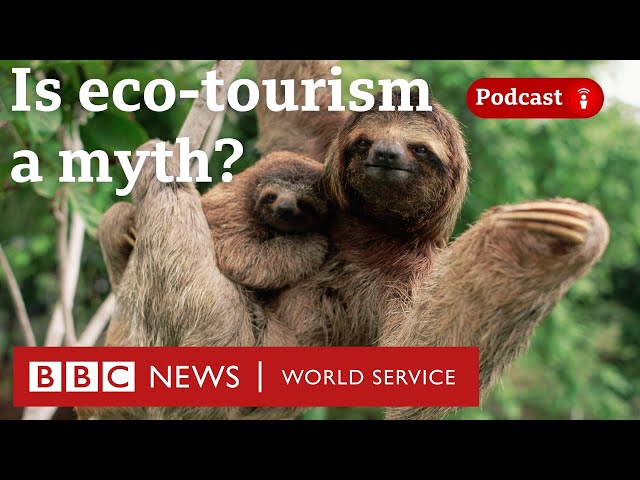 Can tourism ever really help the environment? - The Climate Question podcast, BBC World Service