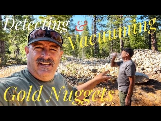 Detecting and Vacuuming for Gold Nuggets